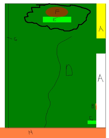 Leonardite Field: The Terrible Drawing